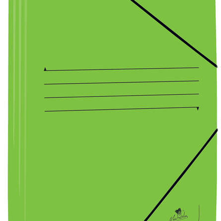 Mariola Carpeta de Carton Estucado con Solapas Folio 500gr/m2 - Medidas 34x25x1cm - Cierre con Goma Elastica - Color Verde 1