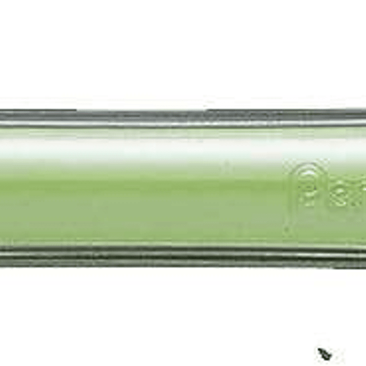 Pentel Fiesta II Portaminas HB 0.5mm con Goma - Incluye 2 Recargas - Grip de Goma - Diseño Ergonomico - Color Verde 1