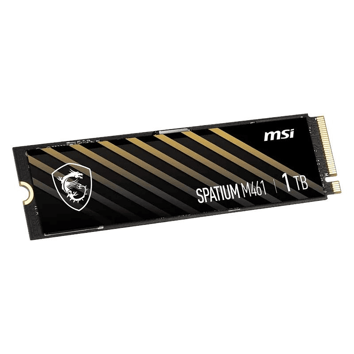 MSI SSD Spatium M461 1Tb PCIe 4.0 NVMe 5000 Mb-s 2