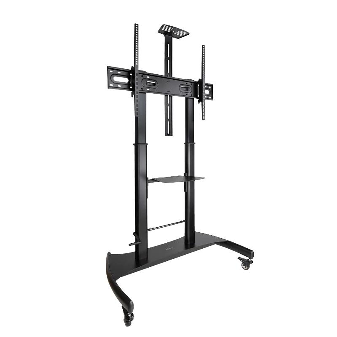 Tooq Soporte Suelo/Pared fijo HIPERION 55