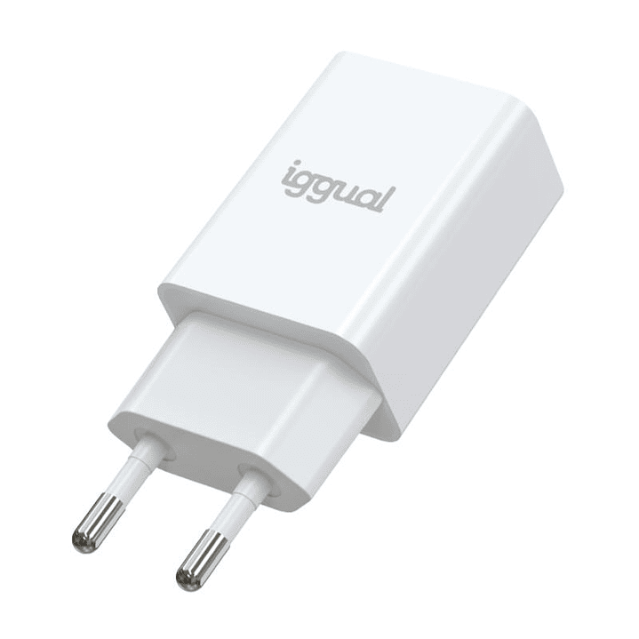 iggual Cargador de pared 1xUSB-A 5V/2A (10W) 2
