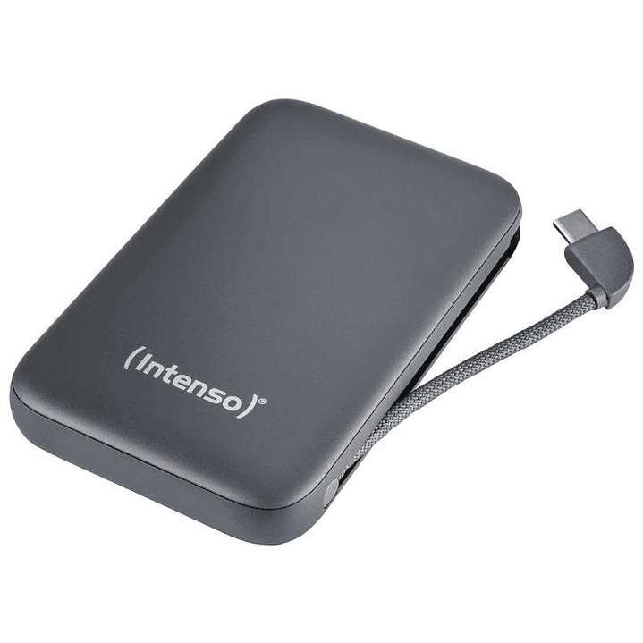 Intenso PowerBank S10000 10000 mAh Gris 1