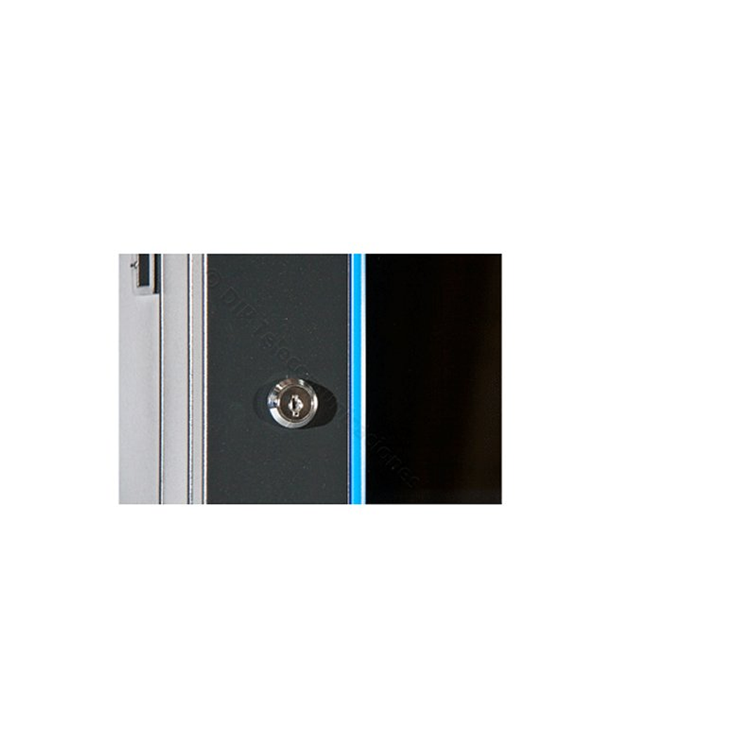 2LAN Armario Mural 6U 19