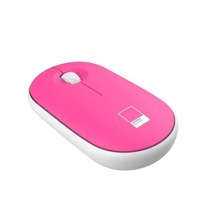 Celly Kit Sleeve Pantone + raton 15,6