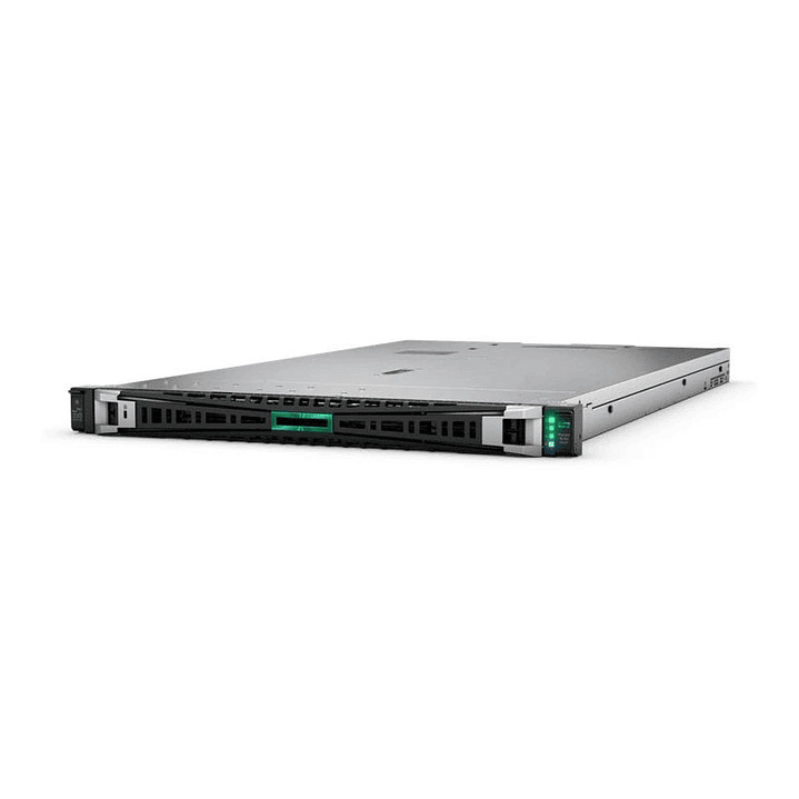 HPE DL360 G11 4510 2X32G 2