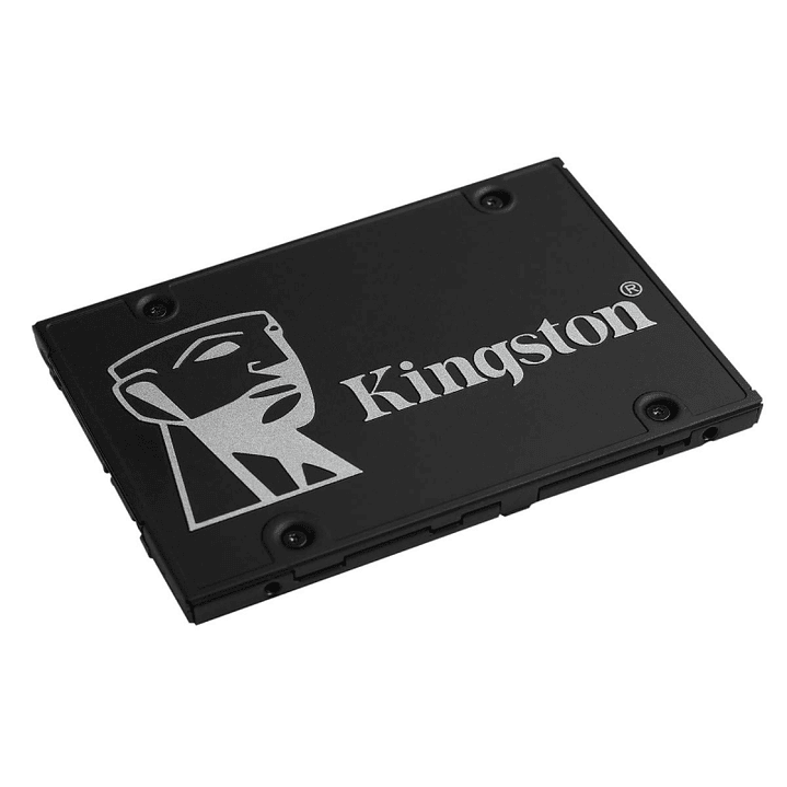 Kingston SKC600/256G SSD NAND TLC 3D 2.5