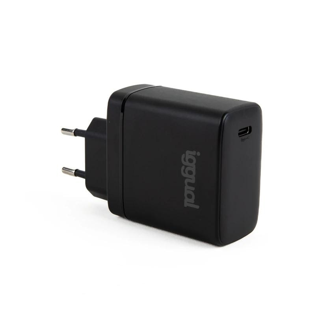 iggual Cargador rápido USB PD tipo C 45W GaN 1