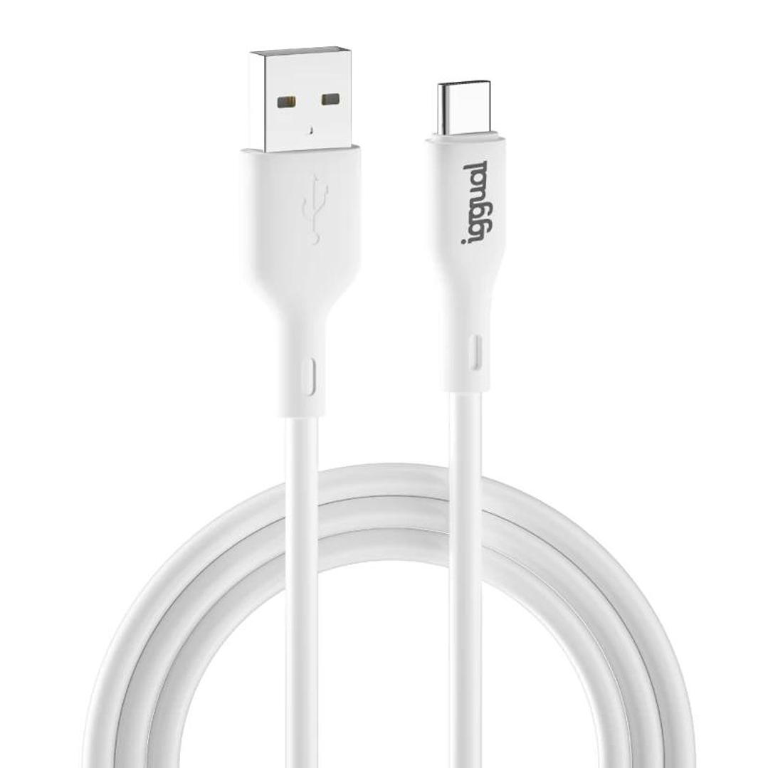 iggual Cable USB-A/USB-C 100 cm blanco Q3.0 3A 1