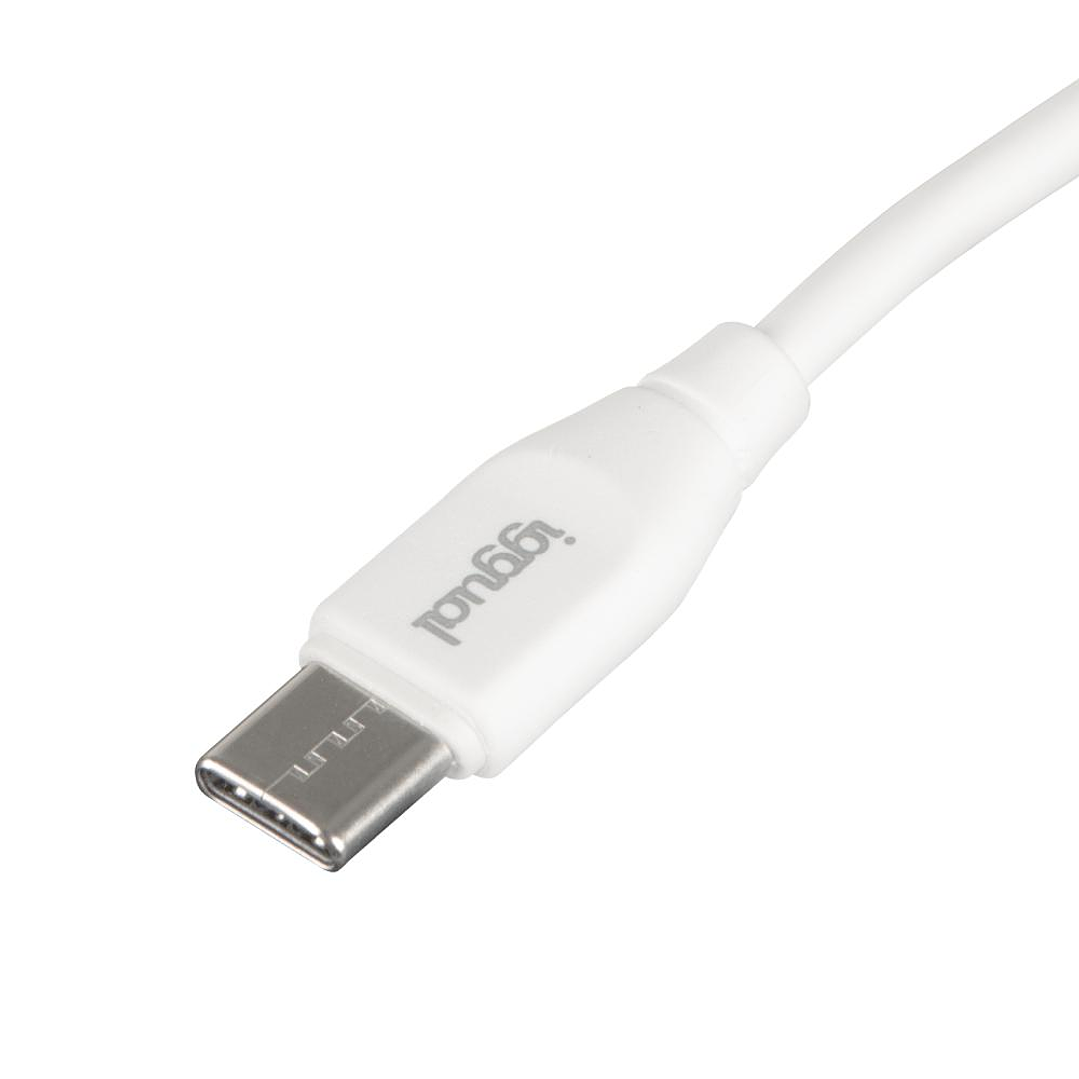 iggual Cable USB-C/USB-C 100 cm blanco Q3.0 3A 60W 4
