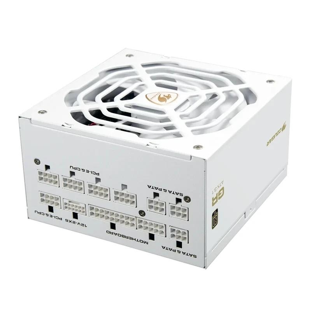 Cougar Fuente Alimentación GR 1000 Snow 80+ Gold 1