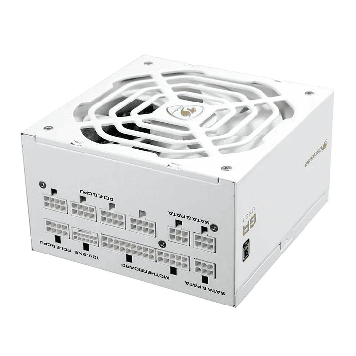 Cougar Fuente Alimentación GR 1000 Snow 80+ Gold 1