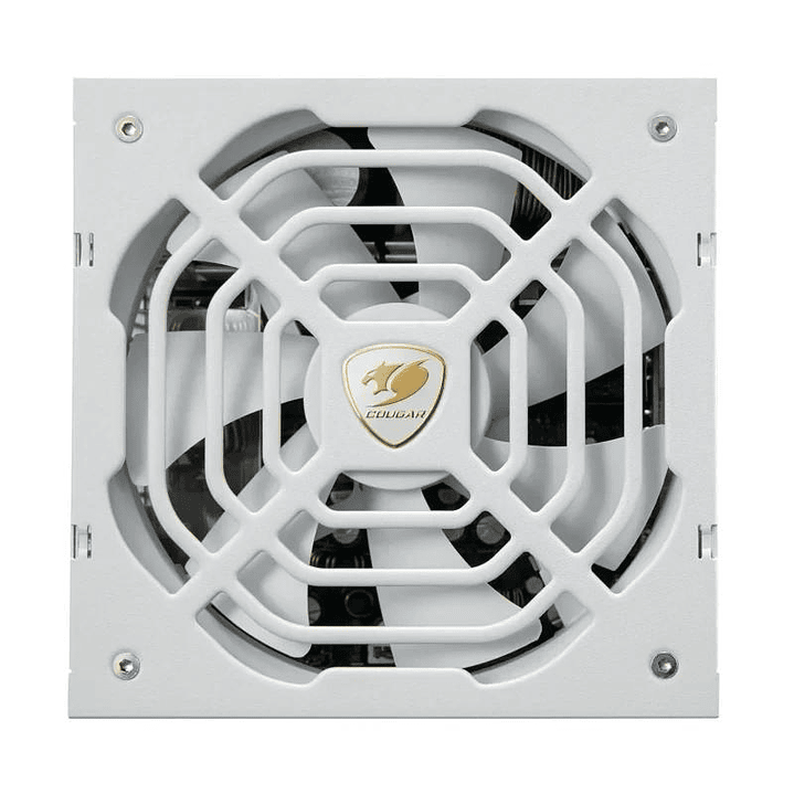 Cougar Fuente Alimentación GR 1000 Snow 80+ Gold 2