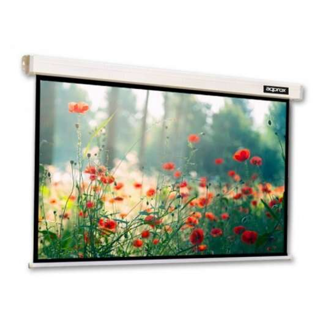 Approx Pantalla de Proyeccion Mural 84