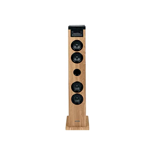 Thomson Cosy DS122CD Torre de Sonido 60W Bluetooth 5.0 - Reproductor de CD - Entrada AUX 3,5mm, USB y Lector de Tarjetas SD/MMC - Mando a Distancia - 