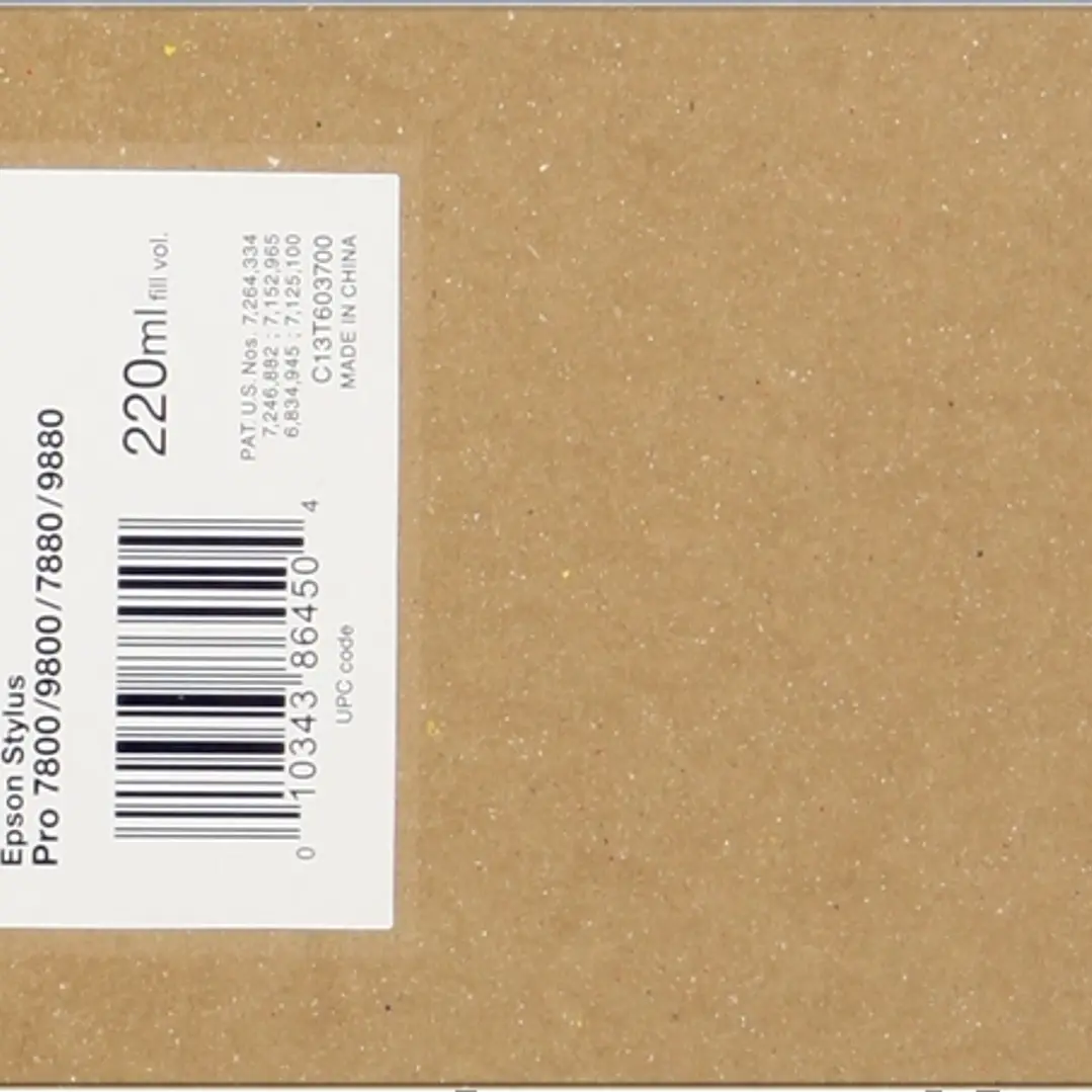 Epson T6037 Negro Light Cartucho de Tinta Original - C13T603700 1