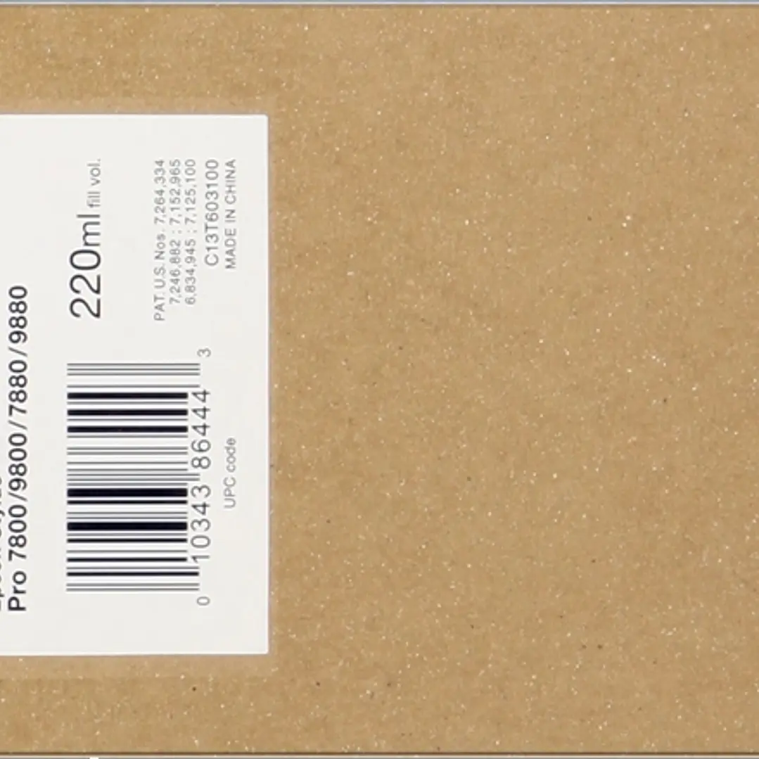 Epson T6031 Negro Photo Cartucho de Tinta Original - C13T603100 1