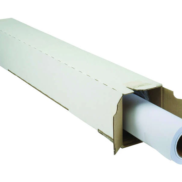 HP Everyday Bobina de Papel Fotografico Satinado, secado instantáneo para impresoras de inyección de tinta, 235 g/m², 1524mm x 30.5m 1