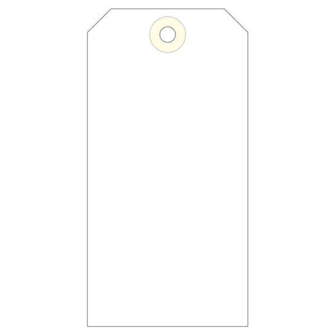 Apli Etiquetas con Arandela 125 x 63mm 1.000 U. 1