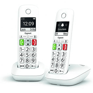 Gigaset E290 Duo Telefono Inalambrico Dect + 1 Supletorio - Pantalla Grande en B/N - Teclas con Numeros Grandes - Volumen con Funcion Amplificador - G