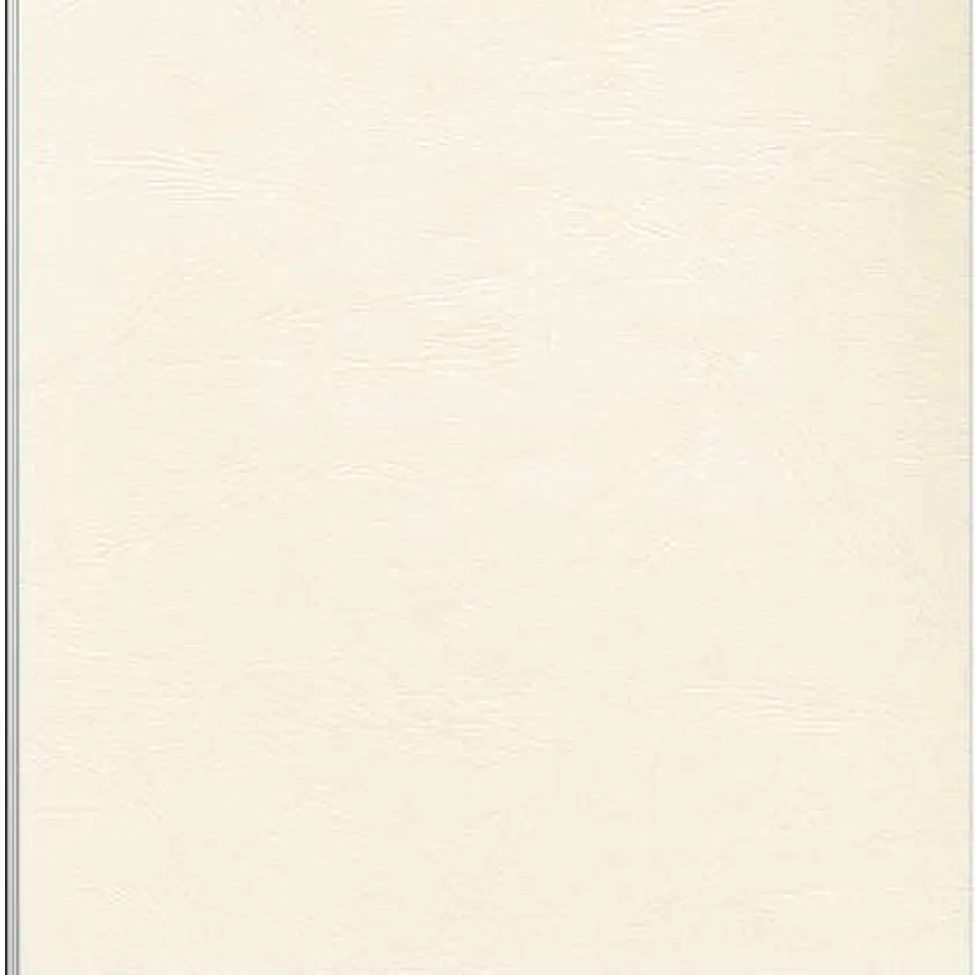 Fellowes Pack de 100 Portadas de Carton Simil Piel Delta Cuero A4 - 250 gr - Color Marfil 1