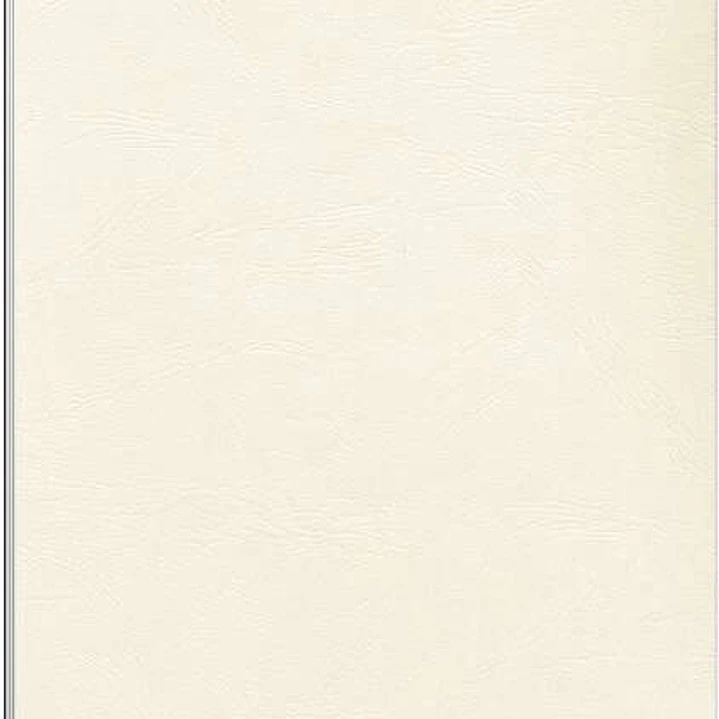 Fellowes Pack de 100 Portadas de Carton Simil Piel Delta Cuero A4 - 250 gr - Color Marfil 1