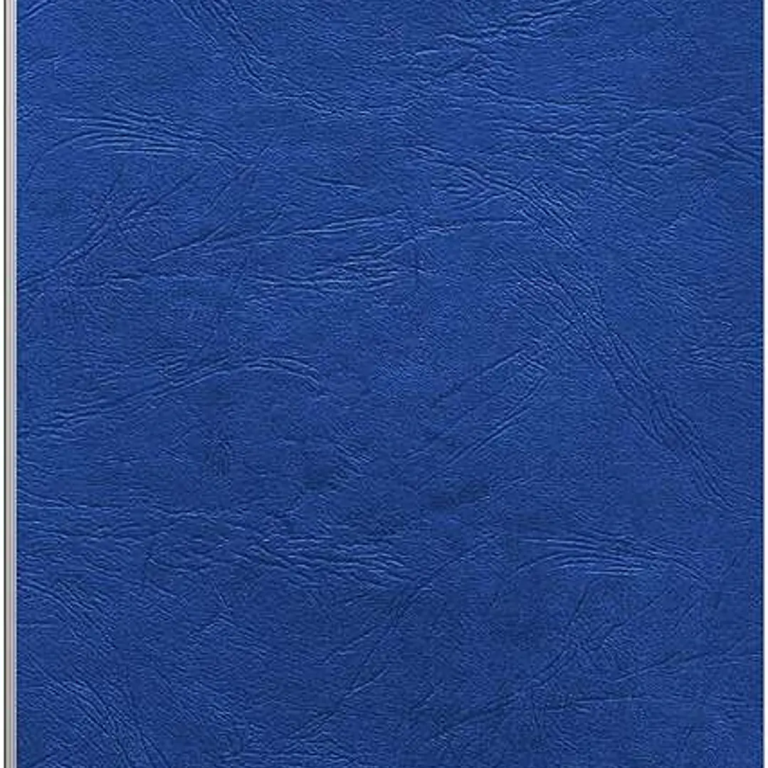 Fellowes Pack de 100 Portadas de Carton Simil Piel Delta Cuero A4 - 250 gr - Color Azul 1