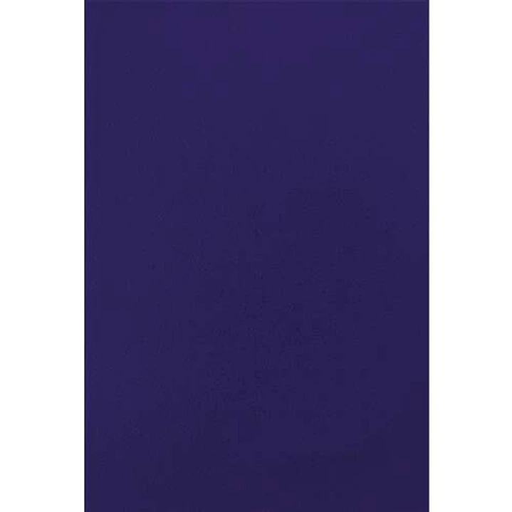 Fellowes Pack de 50 Portadas de Carton Simil Piel A4 - 750 gr - Color Azul 1