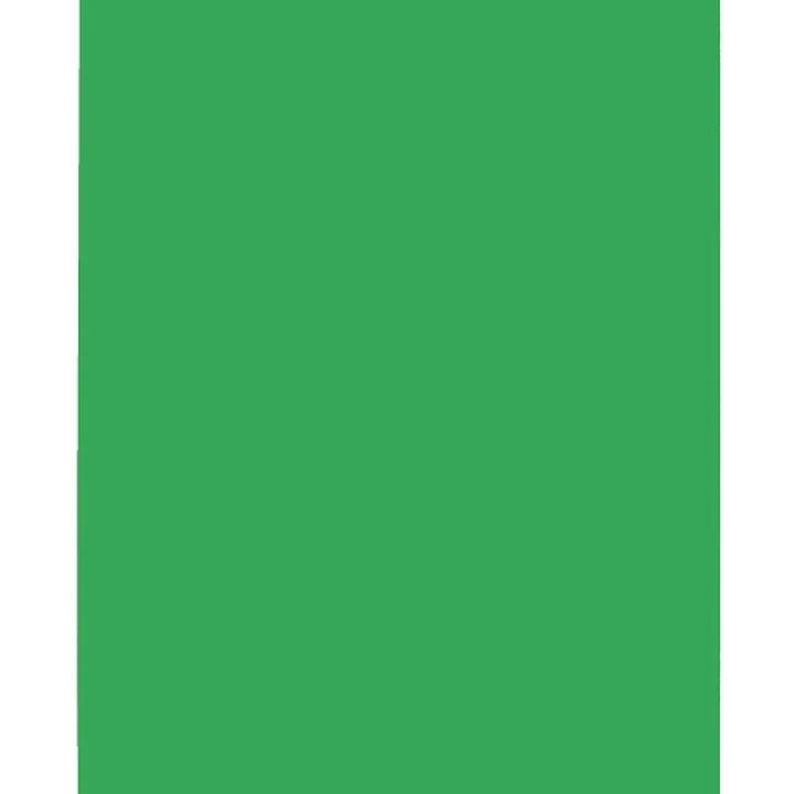 Elba Gio Pack de 50 Subcarpetas de Cartulina 230gr - Formato Folio - Ranura para Fastener - Color Verde Intenso 1