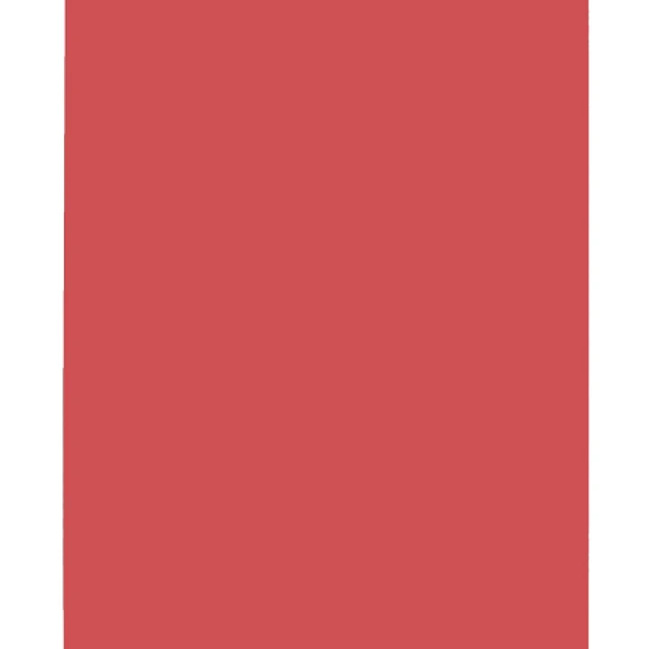 Elba Gio Pack de 50 Subcarpetas de Cartulina 230gr - Formato A4 - Ranura para Fastener - Color Rojo Intenso 1