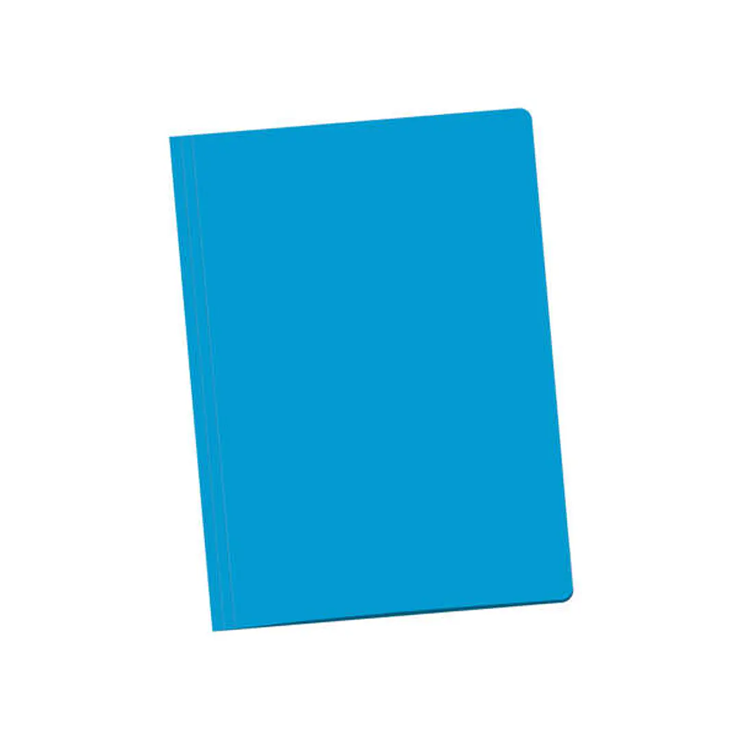 Dohe Pack de 50 Subcarpetas de Cartulina de 180gr A4 - Con Ranura para Fastener - Resistente y Duradera - Ideal para Organizar Documentos - Color Azul 1