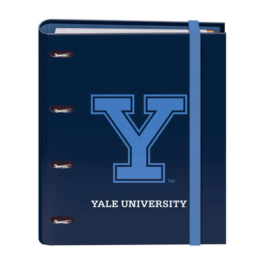 Dohe Cuaderno de Carton Forrado - 35mm - 100 Hojas Offset 90g - Cuadricula 5mm - 4 Separadores Polipropileno - Sobre Transparente Velcro 1