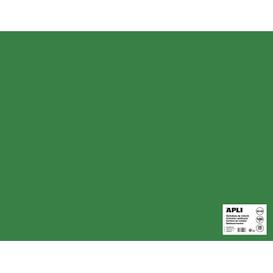 Apli Cartulina Verde Oscuro 50 x 65cm 170g 25 Hojas