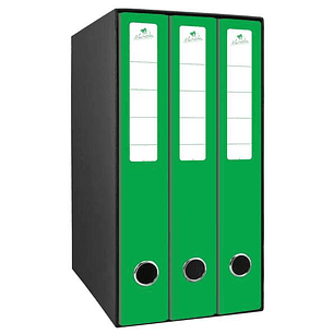 Mariola Box Modulo de 3 Archivadores con Rado 2 Anillas 40mm - Tamaño 35x26x17cm - Carton Forrado - Color Verde