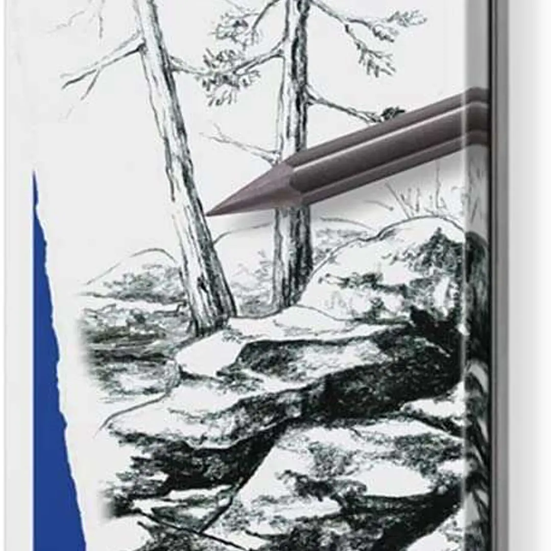 Staedtler Mars Lumograph Pure Graphite 100G Pack de 6 Lapices de Grafito - Tonos Brillantes - Graduaciones Surtidas 1