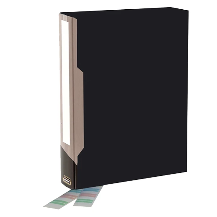 Bankers Box Carpeta Porta-Fundas Polipropileno Flexible - 100 Fundas - Etiquetas Personalizables - Dimensiones Externas 6.50x31.50x23.50cm - Dimension 1