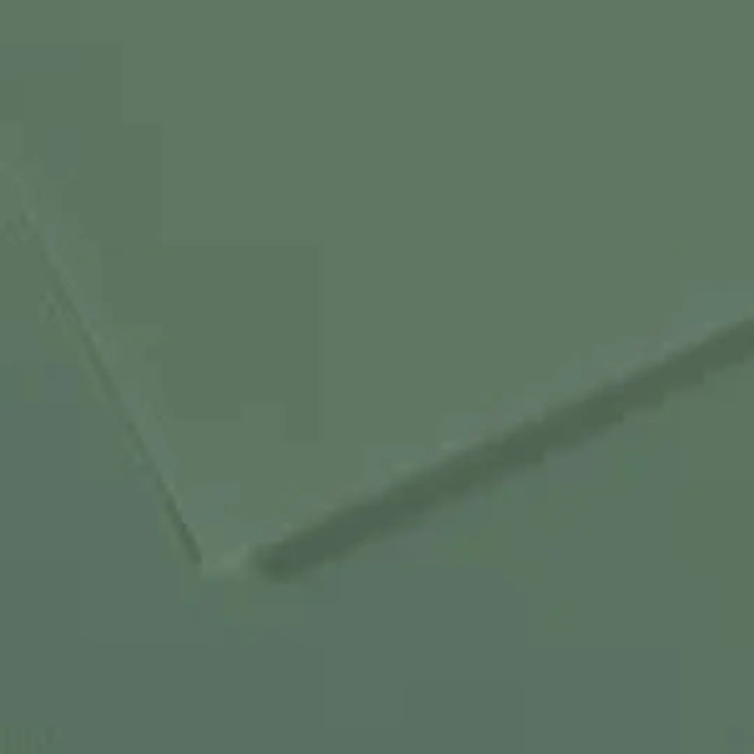 Canson Mi-Teintes Pack de 10 Hojas 160 g/m² - Tamaño 50 x 65cm - Doble Cara Grano Nido de Abeja y Grano Fino - Certificado FSC - Color Verde Salvia 1