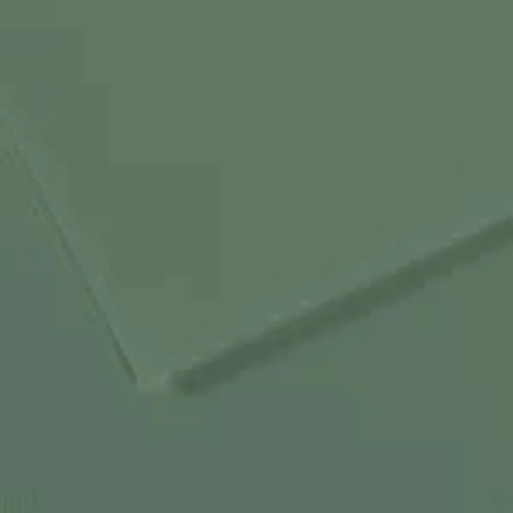 Canson Mi-Teintes Pack de 10 Hojas 160 g/m² - Tamaño 50 x 65cm - Doble Cara Grano Nido de Abeja y Grano Fino - Certificado FSC - Color Verde Salvia 1