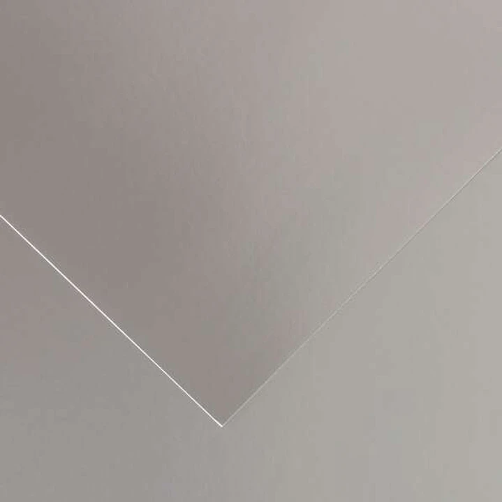 Canson Guarro Pack de 25 Cartulinas Iris de 185g - 50x65cm - Color Plata 1