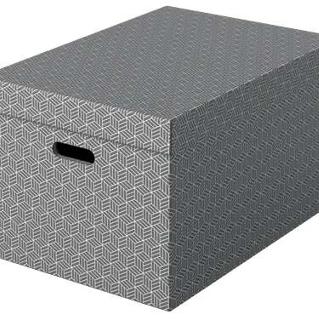 Esselte Pack de 3 Cajas Grandes de Almacenamiento con Tapa 355x305x510mm - Carton 100% Reciclado y Reciclable - Asas Integradas - Diseño Gris con Dibu 1