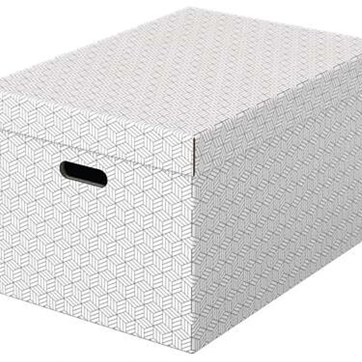 Esselte Pack de 3 Cajas Grandes de Almacenamiento con Tapa 355x305x510mm - Carton 100% Reciclado y Reciclable - Asas Integradas - Diseño Blanco con Di 1