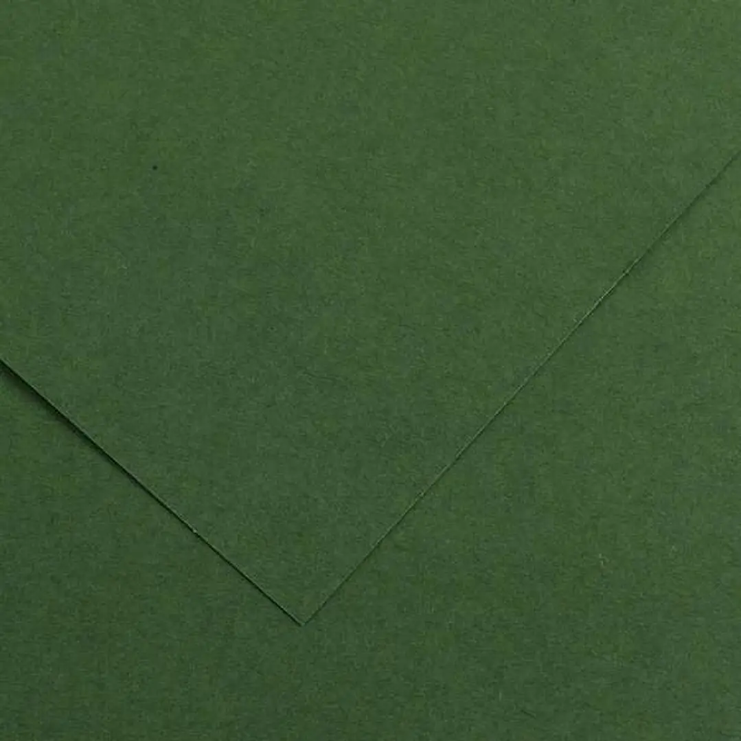 Canson Guarro Pack de 25 Cartulinas Iris de 185g - 50x65cm - Color Verde Amazonas 1