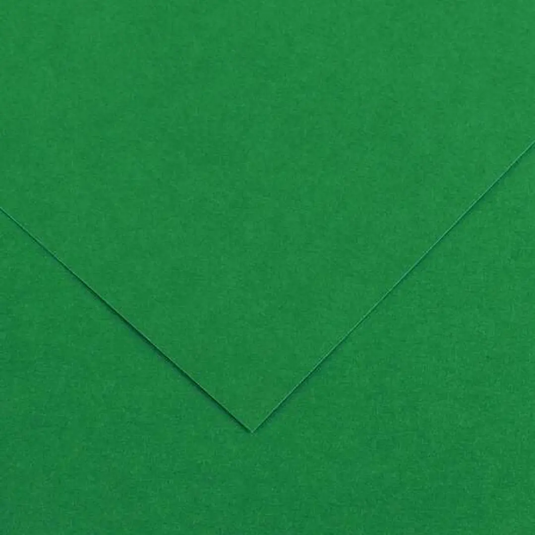 Canson Guarro Pack de 25 Cartulinas Iris de 185g - 50x65cm - Color Verde Abeto 1