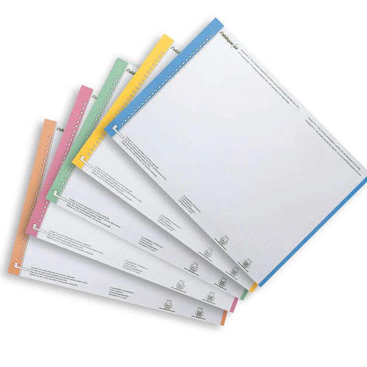 Elba Bristol Hoja 10 Etiquetas para Carpeta Colgante N°0 - Resistente - Tamaño Adecuado - Colores Surtidos 1