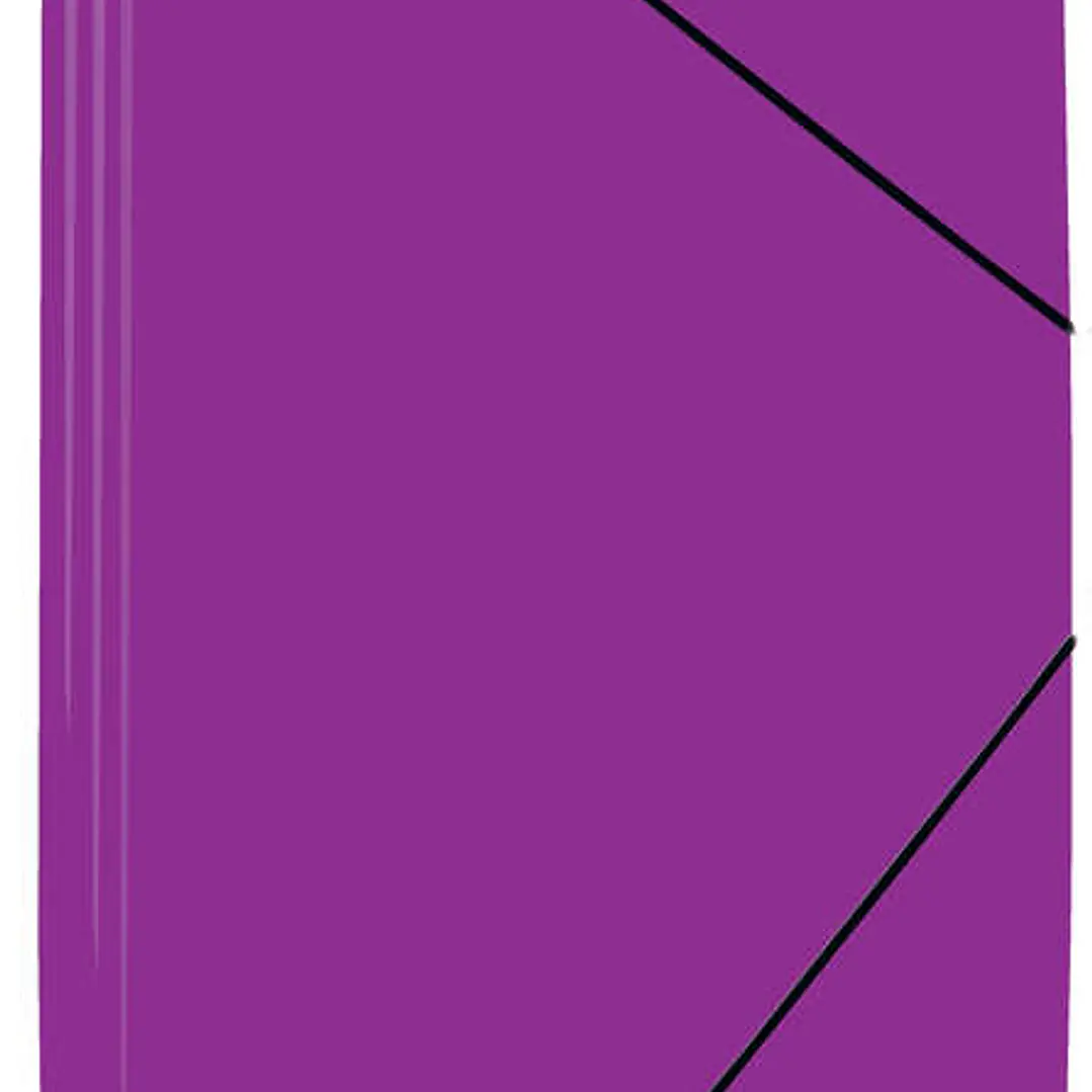 Mariola Carpeta de Polipropileno con Solapas 450 Micras - Formato Folio - Medidas 34x25cm - Cierre con Goma Elastica - Color Violeta 1