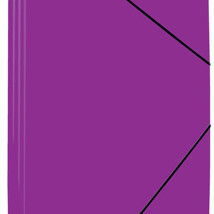 Mariola Carpeta de Polipropileno con Solapas 450 Micras - Formato Folio - Medidas 34x25cm - Cierre con Goma Elastica - Color Violeta 1