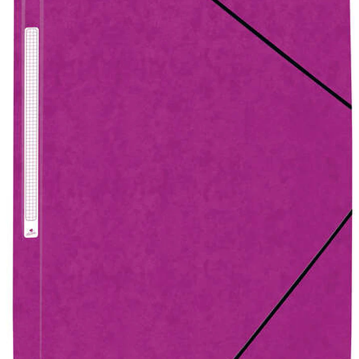 Mariola Carpeta de Carton Simil Prespan con Etiqueta en Lomo Folio 500gr/m2 - Medidas 34x25cm - Cierre con Goma Elastica - Color Violeta 1