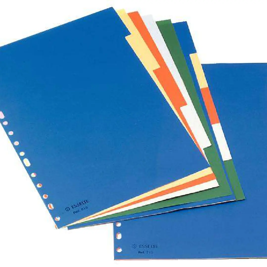 Esselte Separadores Plastico A4 con Cartulina Indice Blanco Negro - 5 Pestañas - Multitaladro - 5 Colores 1