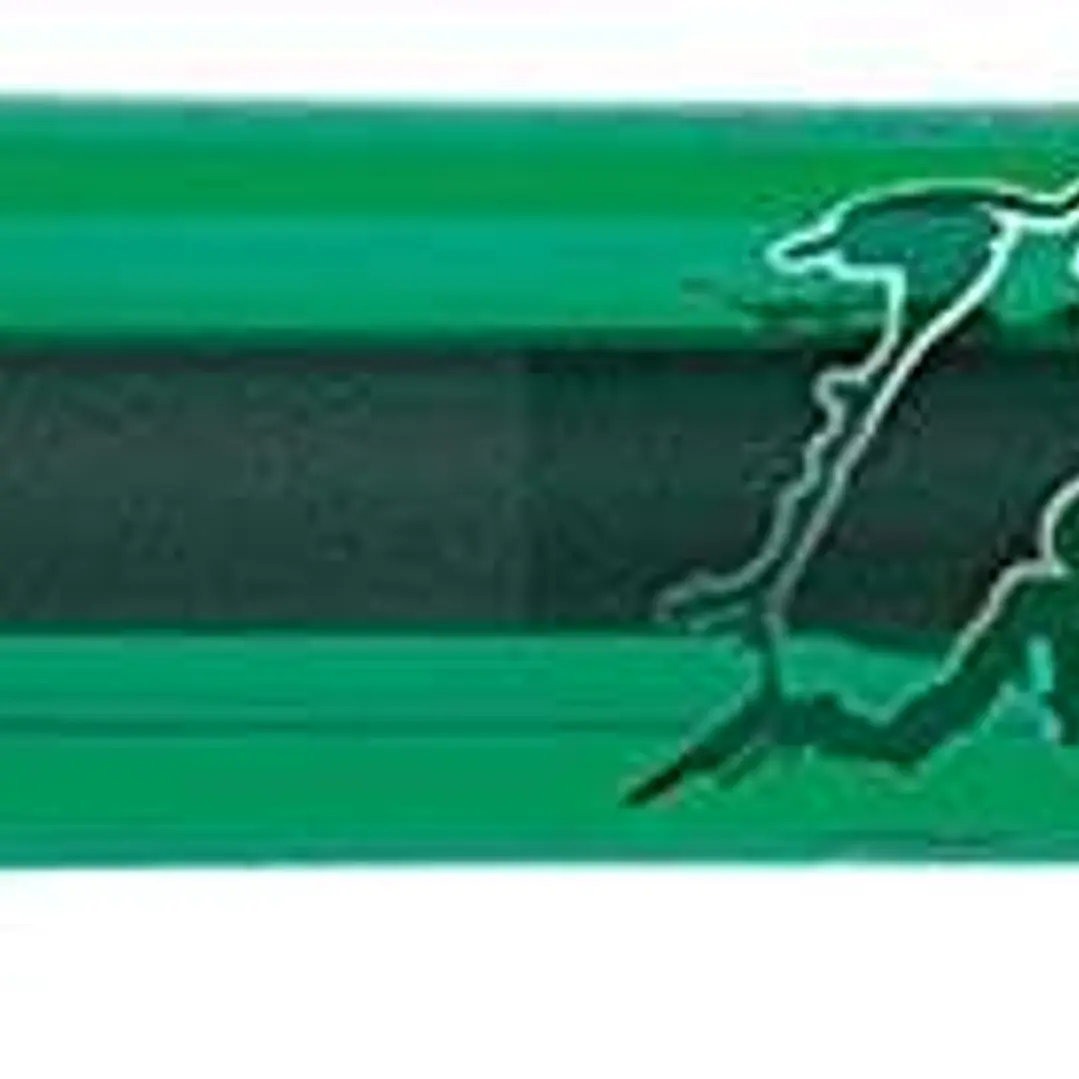 Bic Gel-ocity Illusion Boligrafo de Tinta Gel Borrable - Punta Media de 0.7mm - Recargable - Grip de Goma - Clip de Plastico - Color Verde 1