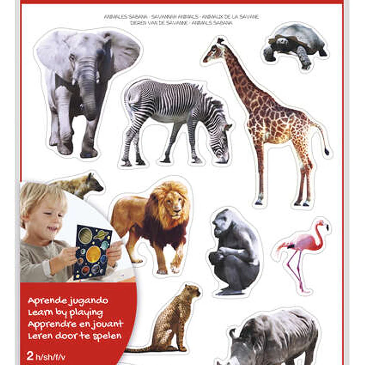 Apli Gomets Tematicos Realistas Animales Sabana - 24 Gomets - Adhesivo Removible - Desarrollados con Educadores - Ideal para Habilidades Motoras - Adh 1