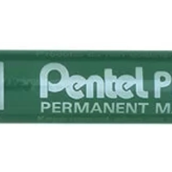 Pentel Pen N60 Rotulador Permanente - Punta Biselada Resistente y Duradera - Resistente a Agua y Luz - Color Verde 1